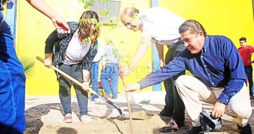 Inicia UABCS campaña de reforestación en su campus central Inicia UABCS campaña de reforestación en su campus central