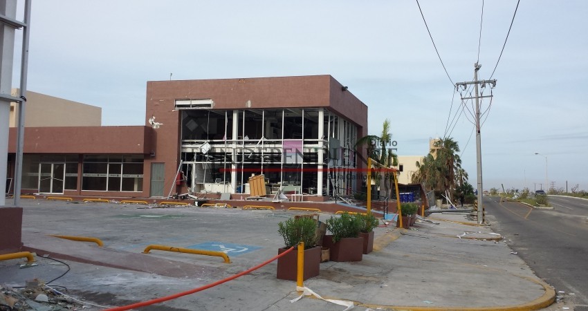 A 4 años de Odile comunidad de Los Cabos se encuentra más fortalecida que nunca A 4 años de Odile comunidad de Los Cabos se encuentra más fortalecida que nunca