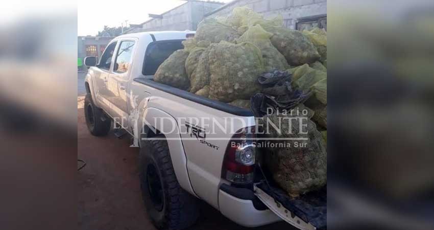 Extraen almeja Catarina ilegalmente en San Carlos; no hay presencia de FONMAR Extraen almeja Catarina ilegalmente en San Carlos; no hay presencia de FONMAR