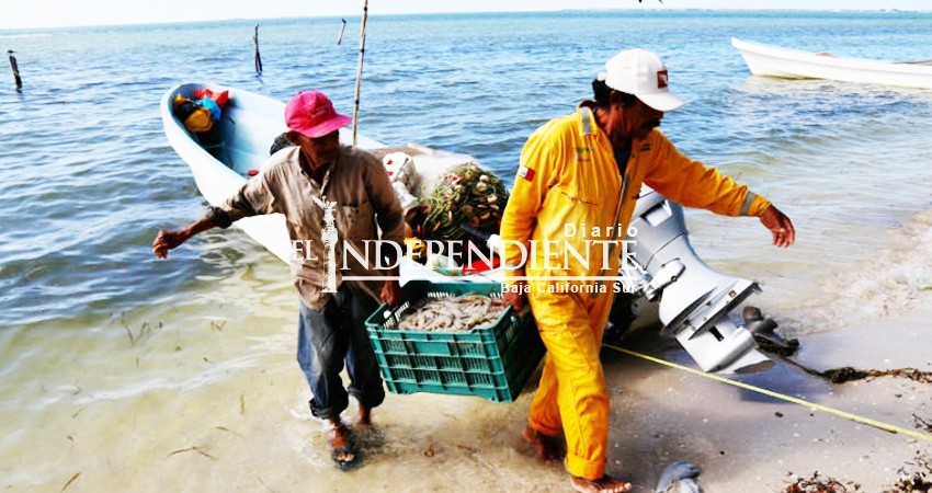 Aseguran que Reserva en Golfo de California restringiría la pesca de barcos a 35 millas de BCS Aseguran que Reserva en Golfo de California restringiría la pesca de barcos a 35 millas de BCS