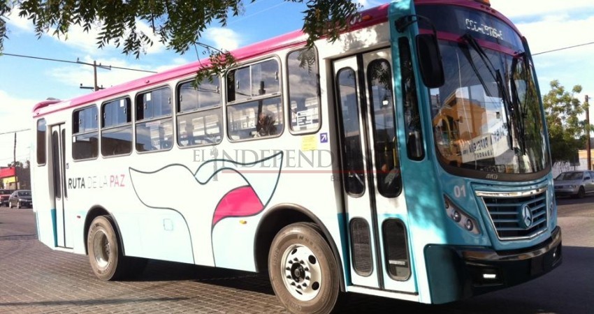 Culpa el PVEM al Gobierno de BCS de deslindarse del transporte público Culpa el PVEM al Gobierno de BCS de deslindarse del transporte público