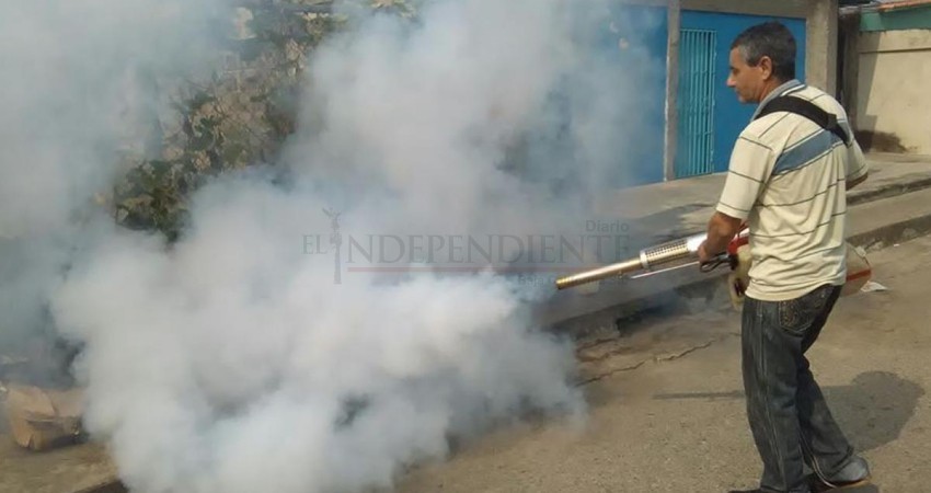 Por 58 casos de dengue, inician fumigaciones en Los Cabos Por 58 casos de dengue, inician fumigaciones en Los Cabos