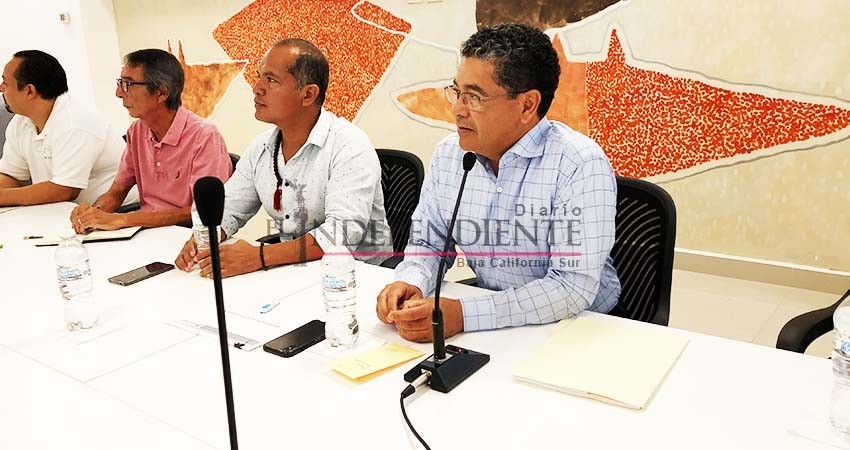 Avance del 44% en remodelación de Plaza Amelia Wilkes Avance del 44% en remodelación de Plaza Amelia Wilkes