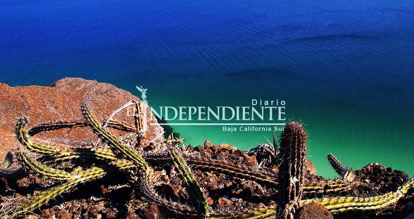 No a la Reserva del Mar de Cortés, reclaman desde el Congreso local No a la Reserva del Mar de Cortés, reclaman desde el Congreso local