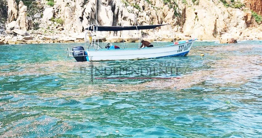 Tras tormenta eléctrica Puerto de CSL opera con normalidad Tras tormenta eléctrica Puerto de CSL opera con normalidad