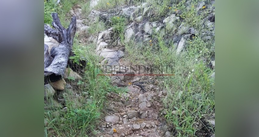 Reportan personas extraviadas en la Sierra de la Laguna Reportan personas extraviadas en la Sierra de la Laguna