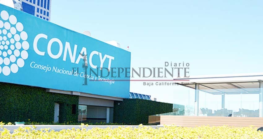 Sigue firme la propuesta; Conacyt se integrará en BCS: Morena Sigue firme la propuesta; Conacyt se integrará en BCS: Morena
