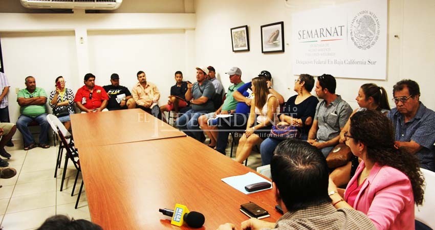 Denuncian turisteros "palancas" con permisos del tiburón ballena en La Paz Denuncian turisteros "palancas" con permisos del tiburón ballena en La Paz