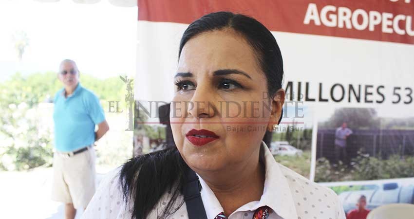 Al menos un mes tardará la reparación de camiones recolectores de basura: Armida Castro Al menos un mes tardará la reparación de camiones recolectores de basura: Armida Castro
