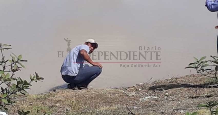 Minera canadiense acepta desbordamiento de sus desechos en río de Oaxaca Minera canadiense acepta desbordamiento de sus desechos en río de Oaxaca