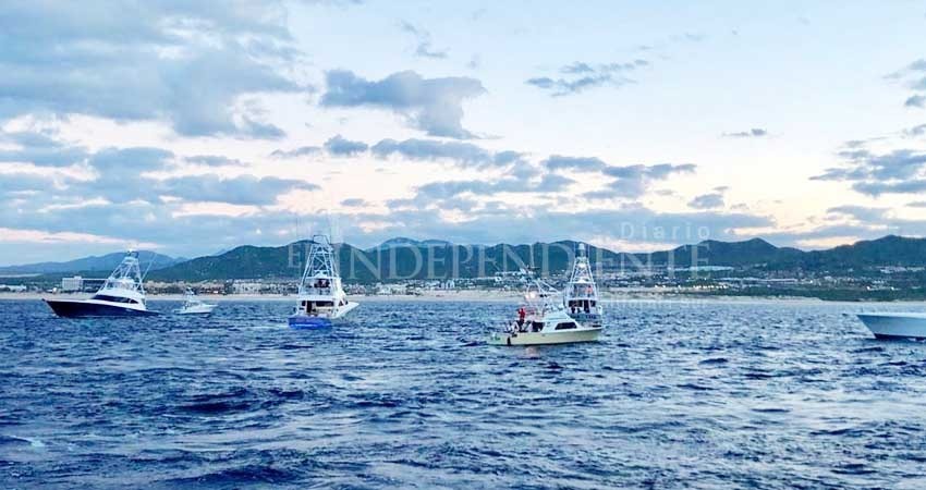 Inició vigésima edición del torneo de pesca Billfish Inició vigésima edición del torneo de pesca Billfish