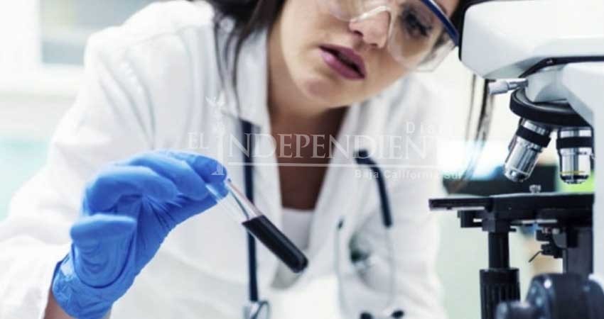 Investigan tratamiento efectivo contra el cáncer, incluso con metástasis Investigan tratamiento efectivo contra el cáncer, incluso con metástasis
