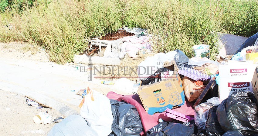 Sigue sin pasar el camión recolector de basura en colonia Miramar de CSL Sigue sin pasar el camión recolector de basura en colonia Miramar de CSL