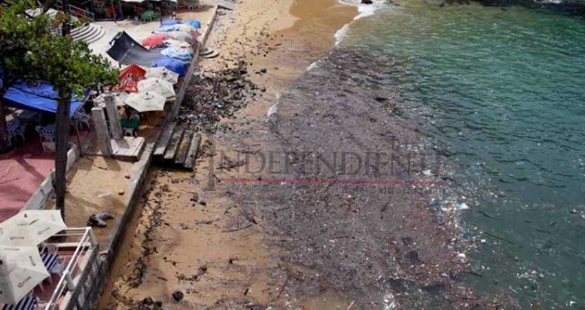 Serán públicos sitios más contaminados del país Serán públicos sitios más contaminados del país