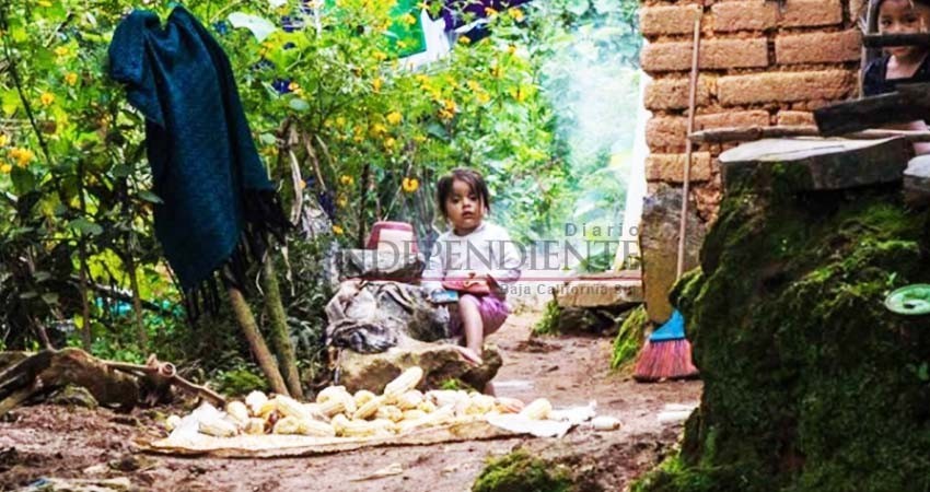 Desperdicios en México alimentarían a 7 millones de personas Desperdicios en México alimentarían a 7 millones de personas