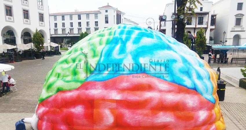 Científica de la UNAM investiga relación entre cerebro y creatividad Científica de la UNAM investiga relación entre cerebro y creatividad