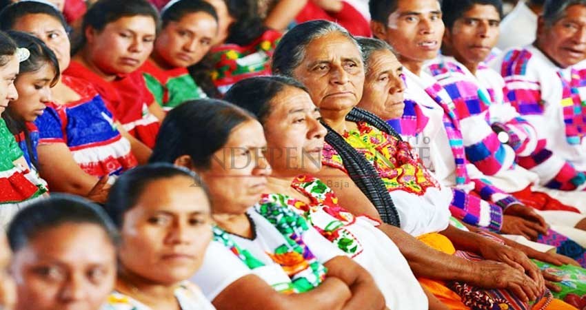 Denuncian pueblos indígenas indiferencia por parte de autoridades de BCS Denuncian pueblos indígenas indiferencia por parte de autoridades de BCS