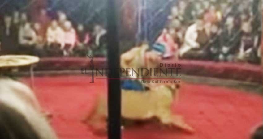 Leona ataca a niña durante espectáculo de circo en Rusia Leona ataca a niña durante espectáculo de circo en Rusia