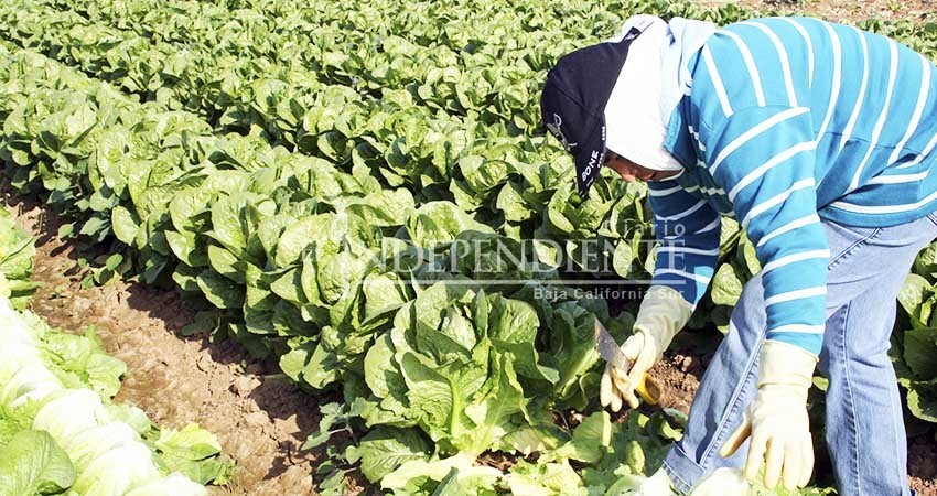Por trata de personas en campos agrícolas CEDH ofrecerá foro en noviembre Por trata de personas en campos agrícolas CEDH ofrecerá foro en noviembre