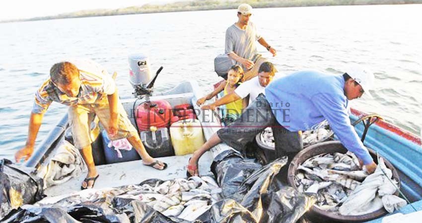 Para evitar depredación de barcos necesitamos vigilancia, no áreas protegidas: Castro Cosío Para evitar depredación de barcos necesitamos vigilancia, no áreas protegidas: Castro Cosío