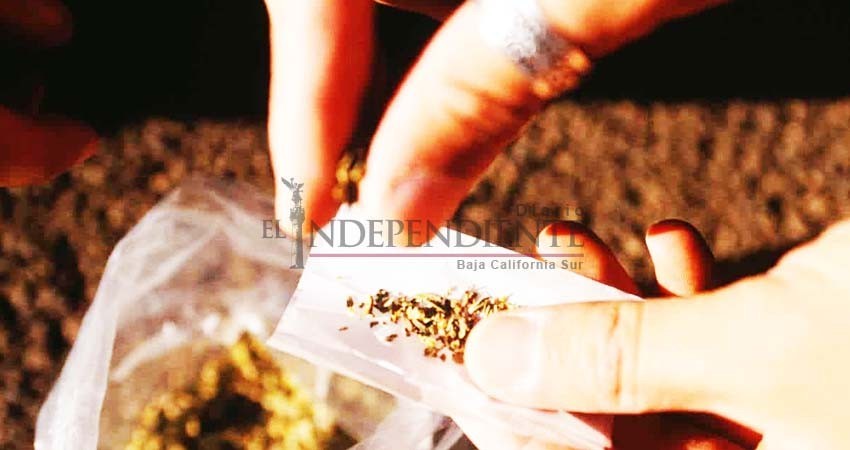 Legalización del uso lúdico de marihuana no afectaría al sector empresarial: Coparmex Legalización del uso lúdico de marihuana no afectaría al sector empresarial: Coparmex