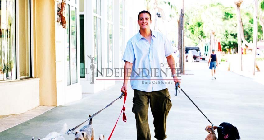 Alistan “marcha de perros” contra su prohibición en el malecón Alistan “marcha de perros” contra su prohibición en el malecón