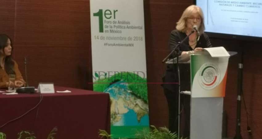 Gobierno electo trabaja en proyecto de impacto ambiental de Tren Maya Gobierno electo trabaja en proyecto de impacto ambiental de Tren Maya