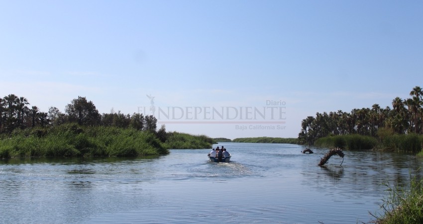 Realiza Ecología un diagnóstico para el manejo y conservación de aves en el Estero josefino Realiza Ecología un diagnóstico para el manejo y conservación de aves en el Estero josefino