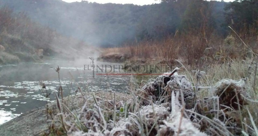 Reportan temperaturas bajo cero en la Sierra de La Laguna Reportan temperaturas bajo cero en la Sierra de La Laguna