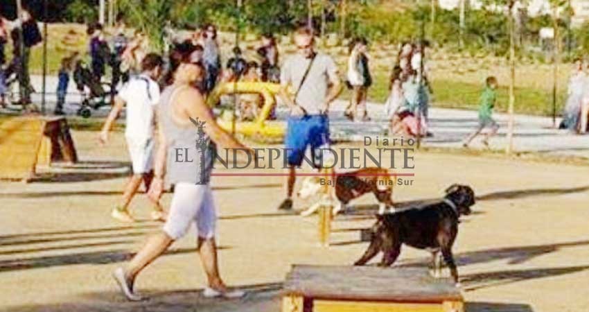 Parque Pueblo Nuevo será el primer parque canino de La Paz Parque Pueblo Nuevo será el primer parque canino de La Paz