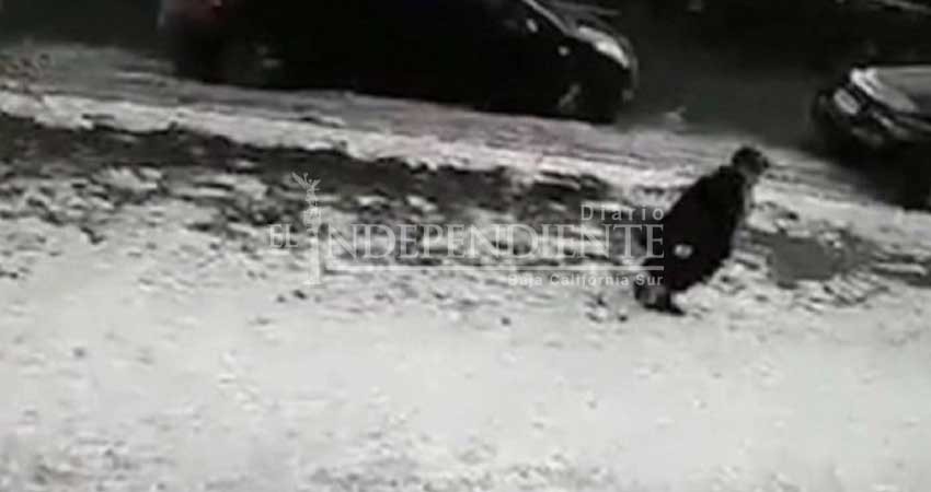 Bloque de hielo cae de un piso 11 y mata a una mujer Bloque de hielo cae de un piso 11 y mata a una mujer