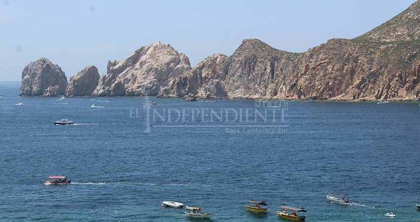 Llegaron las ballenas a costas de Los Cabos Llegaron las ballenas a costas de Los Cabos