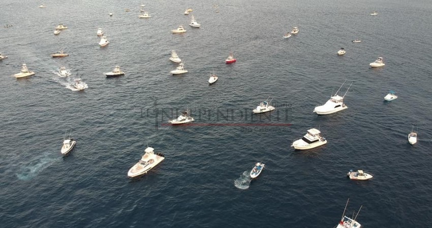 130 embarcaciones participaron en la quinta edición del Torneo de Pesca Orsan 130 embarcaciones participaron en la quinta edición del Torneo de Pesca Orsan