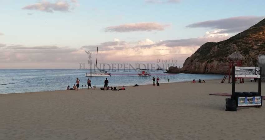 Repercusiones jurídicas en concesiones que no cuiden flora y fauna de playas: Zofemat Federal Repercusiones jurídicas en concesiones que no cuiden flora y fauna de playas: Zofemat Federal
