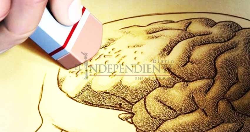 Científicos descubren forma de detener el avance del Alzheimer Científicos descubren forma de detener el avance del Alzheimer