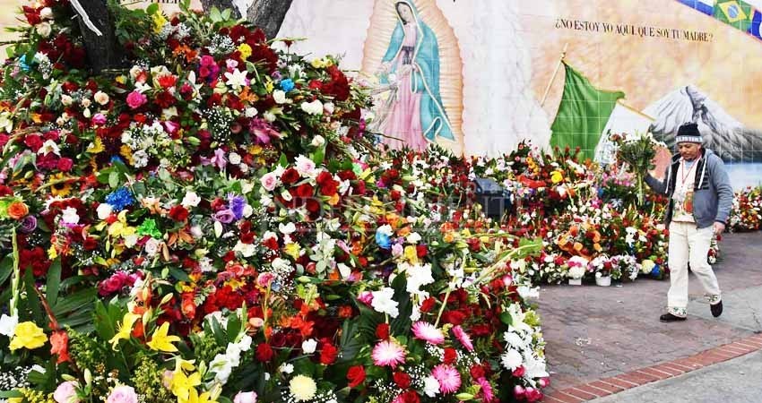 Piden a la Virgen de Guadalupe protección para los migrantes Piden a la Virgen de Guadalupe protección para los migrantes