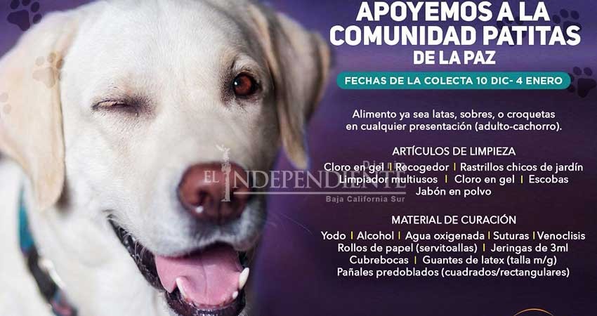 Al ritmo de rock, inician colecta de alimento para "Patitas La Paz" Al ritmo de rock, inician colecta de alimento para "Patitas La Paz"