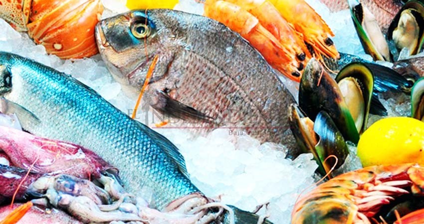 Cierra BCS el 2018 con 155 mil toneladas de captura de todas las especies Cierra BCS el 2018 con 155 mil toneladas de captura de todas las especies
