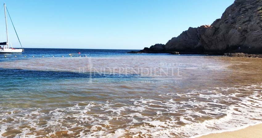 Descarta Zofemat daño a playa Santa María por derrame de agua Descarta Zofemat daño a playa Santa María por derrame de agua
