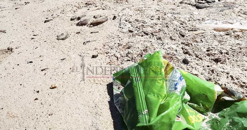 Instalarán en enero el Comité Municipal de Playas Limpias Instalarán en enero el Comité Municipal de Playas Limpias