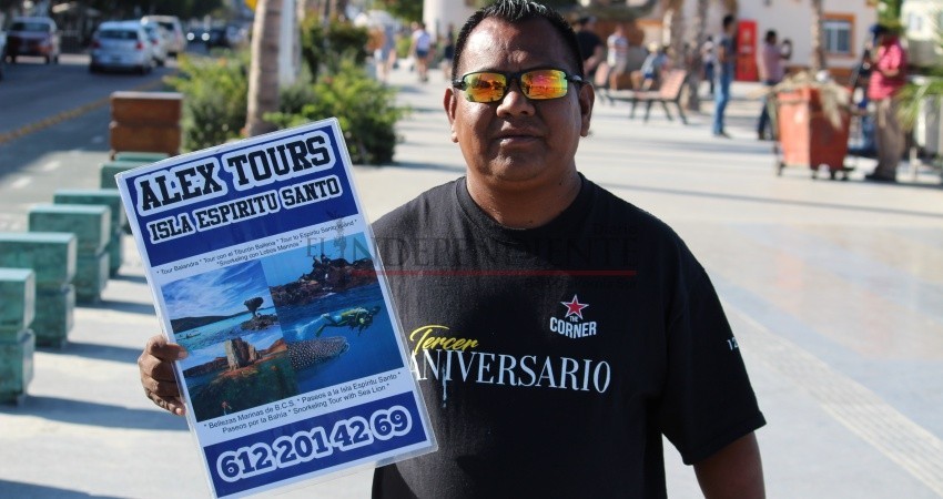 Reportan reducción de visitas al tiburón ballena en La Paz Reportan reducción de visitas al tiburón ballena en La Paz