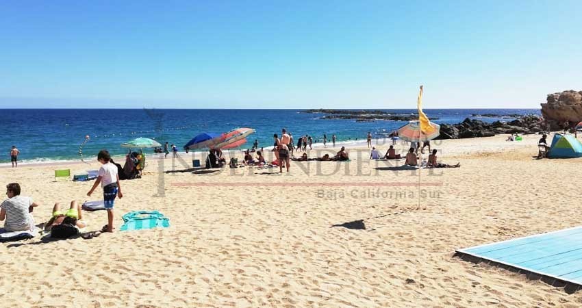 Concluye 2018 con saldo blanco en playas de Los Cabos Concluye 2018 con saldo blanco en playas de Los Cabos