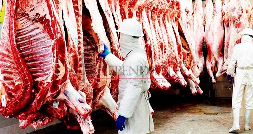 Importante que Rastro Municipal de La Paz amplíe su servicio de sacrificio: Comité de Protección Pecuaria Importante que Rastro Municipal de La Paz amplíe su servicio de sacrificio: Comité de Protección Pecuaria