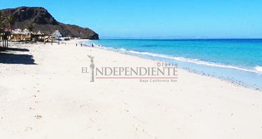 Instalan el Comité Municipal de Playas Limpias La Paz de la mano de The Mare Nostrum Instalan el Comité Municipal de Playas Limpias La Paz de la mano de The Mare Nostrum