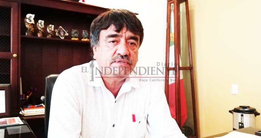 Pide Delegación de CSL no abandonar árboles navideños naturales en vía pública Pide Delegación de CSL no abandonar árboles navideños naturales en vía pública