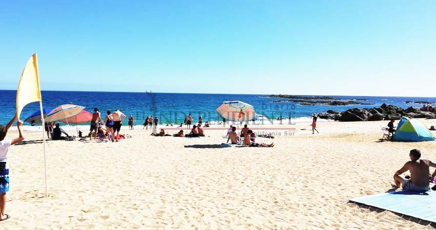 Va Zofemat Los Cabos por reordenamiento de comercio y limpieza de playas de CSL Va Zofemat Los Cabos por reordenamiento de comercio y limpieza de playas de CSL