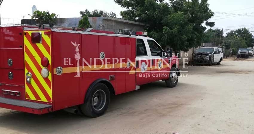 Intenta robar cableado de la CFE y muere electrocutado en CSL Intenta robar cableado de la CFE y muere electrocutado en CSL