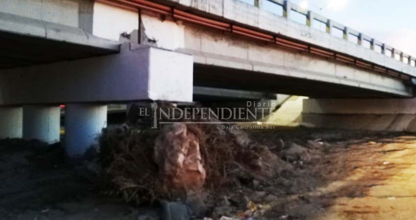 Amanece arroyo El Salto Seco lleno de basura y cacharros Amanece arroyo El Salto Seco lleno de basura y cacharros