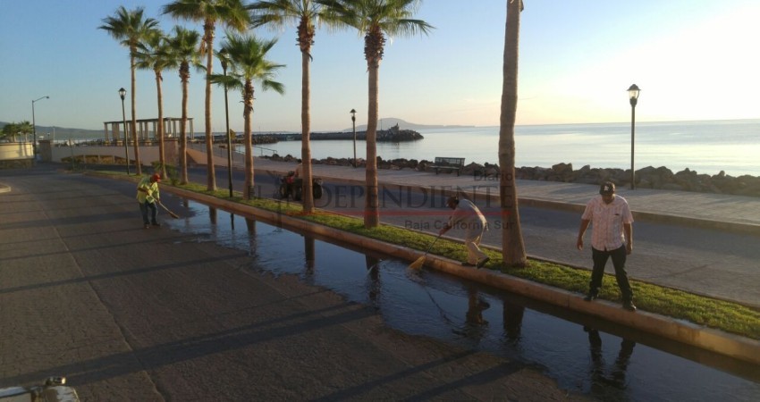 Loreto tiene las playas más limpias del Estado, asegura Zofemat Loreto tiene las playas más limpias del Estado, asegura Zofemat