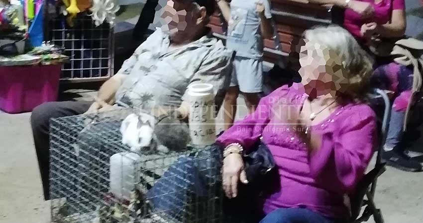 Sin regulación la venta de animales en calles de La Paz Sin regulación la venta de animales en calles de La Paz